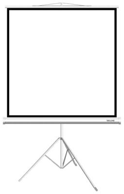 Экран на треноге XG DLS-T203x154W, Рабочая поверхность 195х146 см., 4:3, Matt white, Белый