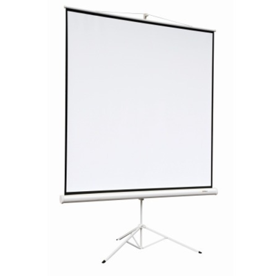 Экран для проектора ANC Manual Matte Screen (180x180), настенный, White